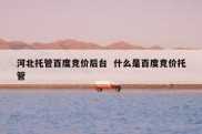 河北托管百度竞价后台  什么是百度竞价托管
