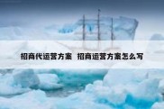 招商代运营方案  招商运营方案怎么写