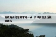 百度竞价托管那家好一点  云浮百度竞价托管团队