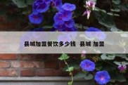 县城加盟餐饮多少钱  县城 加盟
