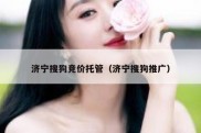 济宁搜狗竞价托管（济宁搜狗推广）