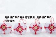 竞价推广账户竞价托管费用  竞价推广账户托管服务