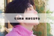 引流精准  精准引流平台