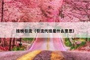 挂榜引流（引流代挂是什么意思）