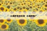 小病种竞价托管  小病种推广