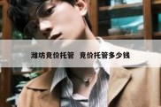 潍坊竞价托管  竞价托管多少钱