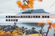 东营搜狗sem竞价托管公司费用  西安搜狗竞价托管