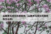 山西神马竞价托管机构（山西神马竞价托管机构怎么样）