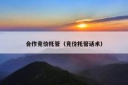 合作竞价托管（竞价托管话术）