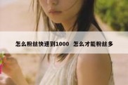 怎么粉丝快速到1000  怎么才能粉丝多