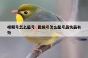 视频号怎么起号  视频号怎么起号最快最有效