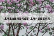上海宝山区抖音代运营  上海抖音运营带货