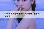 sem竞价托管代运营公司有哪些  搜索竞价托管