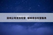 深圳公司竞价托管  深圳竞价托管服务