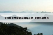竞价托管文案夏天图片治愈  竞价托管推荐