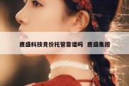 唐盛科技竞价托管靠谱吗  唐盛集团
