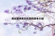 湖北搜狗竞价托管的简单介绍