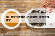 推广竞价托管就选u火20星荐  搜索竞价托管