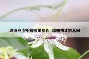 绵阳竞价托管哪里有名  绵阳拍卖信息网