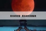 竞价的托管  竞价的托管服务