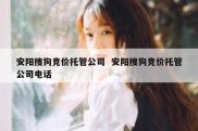 安阳搜狗竞价托管公司  安阳搜狗竞价托管公司电话