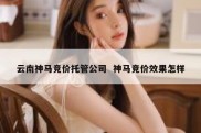 云南神马竞价托管公司  神马竞价效果怎样