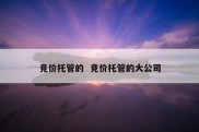 竞价托管的  竞价托管的大公司