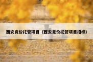 西安竞价托管项目（西安竞价托管项目招标）