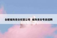 合肥搜狗竞价托管公司  搜狗竞价专员招聘