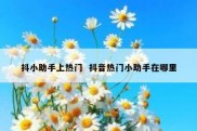 抖小助手上热门  抖音热门小助手在哪里