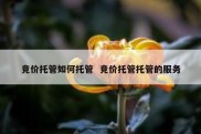 竞价托管如何托管  竞价托管托管的服务