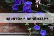 找竞价托管怎么样  竞价托管的注意事项