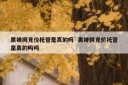 黑锋网竞价托管是真的吗  黑锋网竞价托管是真的吗吗