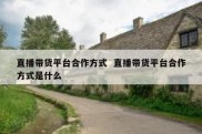 直播带货平台合作方式  直播带货平台合作方式是什么