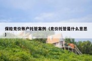 保险竞价账户托管案例（竞价托管是什么意思）