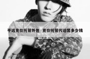平远竞价托管外包  竞价托管代运营多少钱