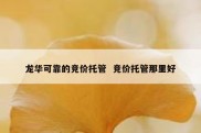 龙华可靠的竞价托管  竞价托管那里好
