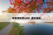 快速涨粉到1000  最快涨粉