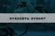 济宁竞价托管平台  济宁竞价开户