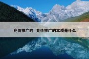 竞价推广的  竞价推广的本质是什么