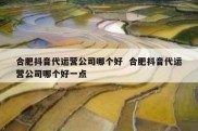 合肥抖音代运营公司哪个好  合肥抖音代运营公司哪个好一点