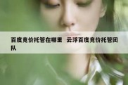 百度竞价托管在哪里  云浮百度竞价托管团队