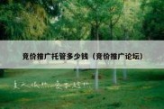 竞价推广托管多少钱（竞价推广论坛）