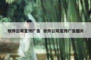 软件公司宣传广告  软件公司宣传广告图片