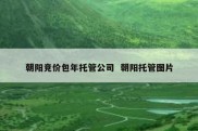 朝阳竞价包年托管公司  朝阳托管图片
