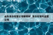 山东竞价托管公司哪家好  竞价托管代运营公司