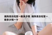 搜狗竞价托管一般多少钱  搜狗竞价托管一般多少钱一个