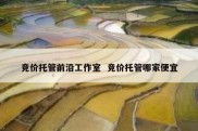 竞价托管前沿工作室  竞价托管哪家便宜
