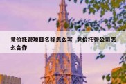 竞价托管项目名称怎么写  竞价托管公司怎么合作