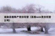 金融百度账户竞价托管（百度sem竞价托管公司）